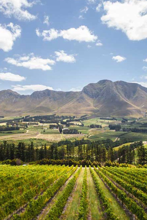 Legendary Cape Winelands day tour from Cape Town